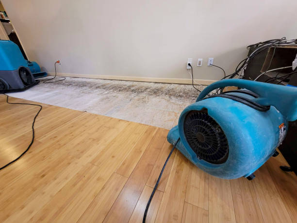Professional Water Extraction technician working in Lexington, WA